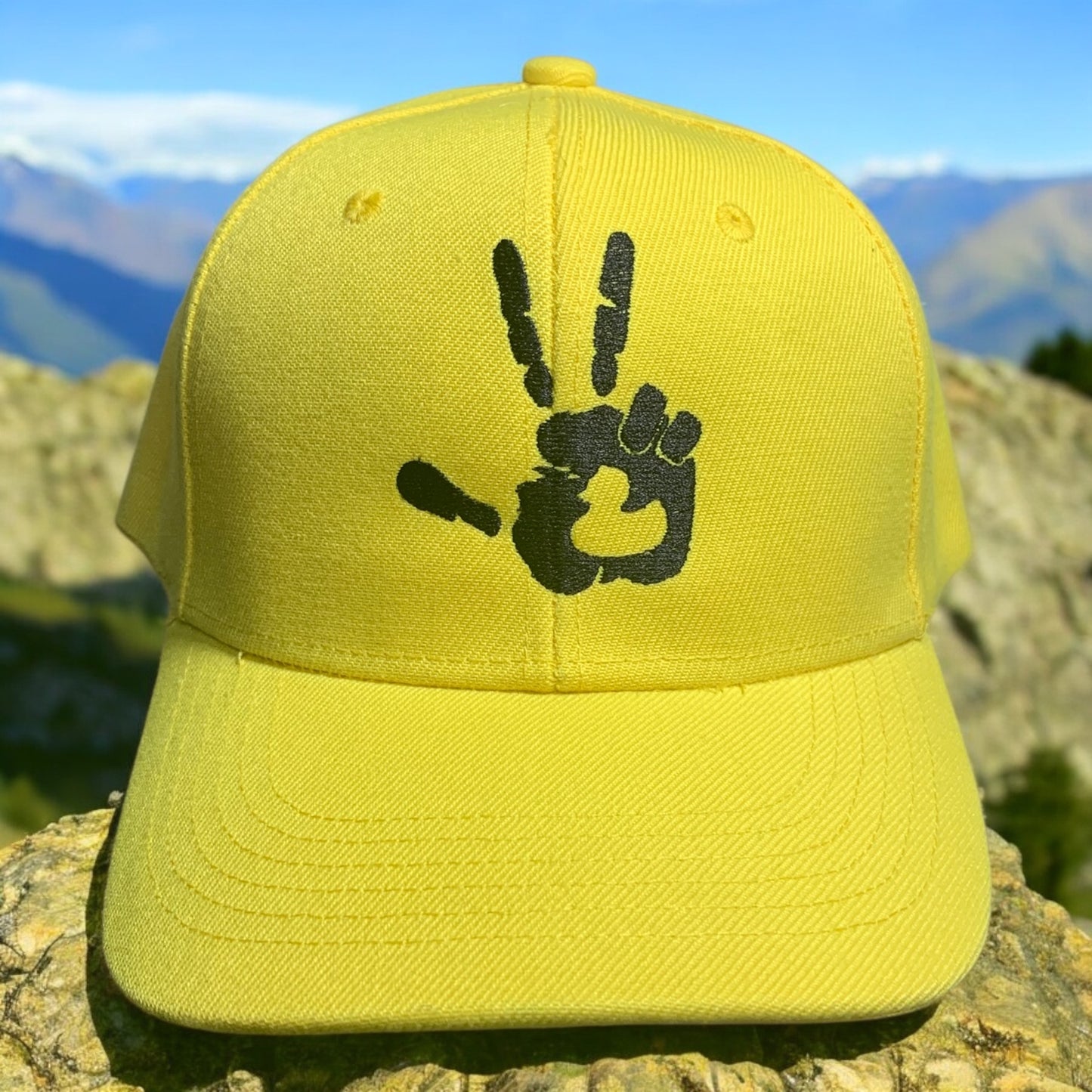 Wave  Baseball Cap